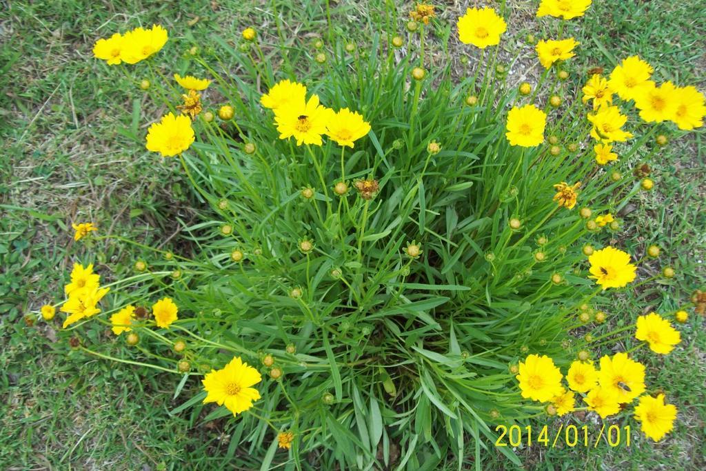 Chales Canto Dos Passaros Monte Verde  Ngoại thất bức ảnh
